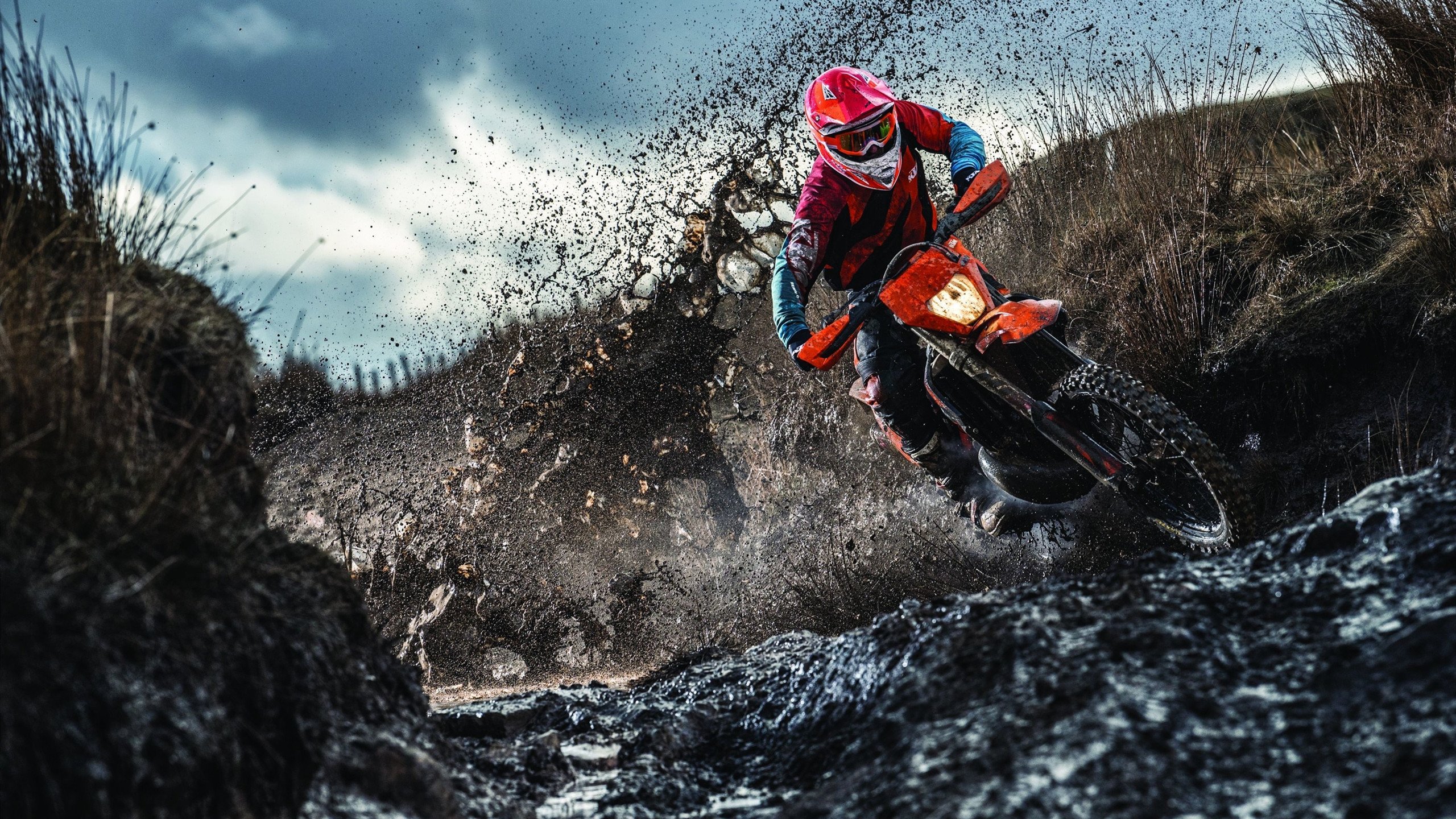 战绩波动背后：深度解析球队变化原因，球队现状